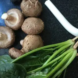 Make Spills of fungus step 0