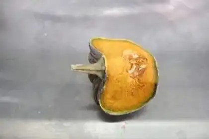Make Pumpkin