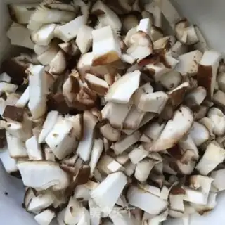Make Spills of fungus step 3
