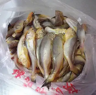 Make Squirtfish step 0