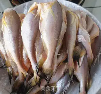 Make Squirtfish step 1