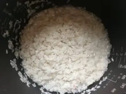 Make Chestnut step 2