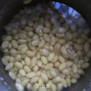 Make The original soybean step 0