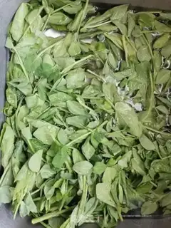 Make Sour pea seed step 0