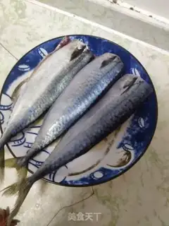 Make Tomato bluefish step 0