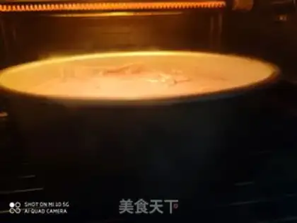 Make Flamingo Cake step 11