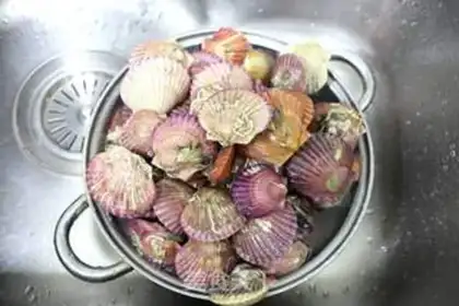 Make A scallop fan step 0