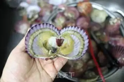 Make A scallop fan step 1