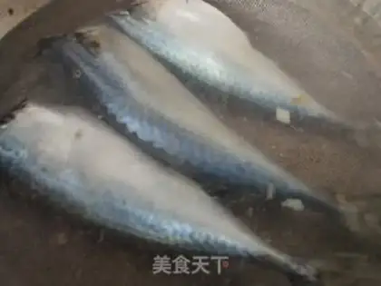 Make Blue fish step 0