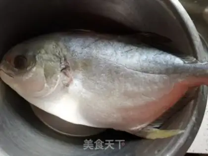 Make Red-burned even fish step 0