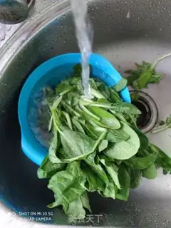 Make Garlic cabbage step 0