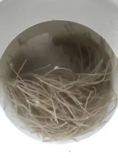 Make Chicken powder step 0