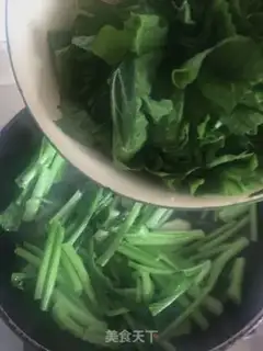 Make Quick sprouts step 5