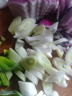 Make Squid step 4