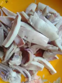 Make Squid step 5