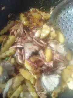 Make Squid step 14