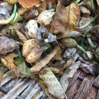 Make Garlic plum step 0
