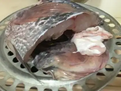Make Vapouring reservoir fish step 3