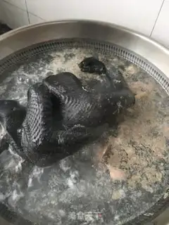 Make The natives are eating chicken soup step 5
