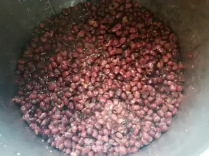 Make Honey Bean step 5