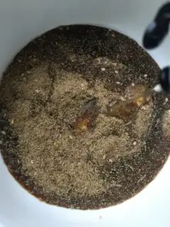 Make Roast leg step 5
