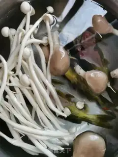 Make Squid mushrooms step 0