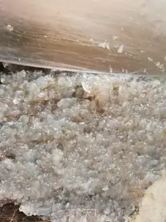 Make Homemade shrimp step 3