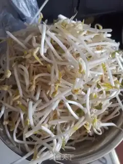 Make Tomato sprouts step 2