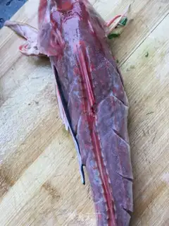 Make Rusty Rusty Redfish step 5