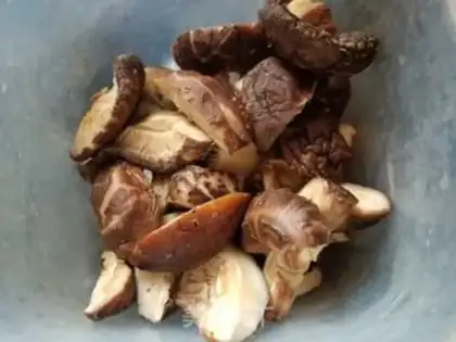 Make The cucumber of mushrooms step 2