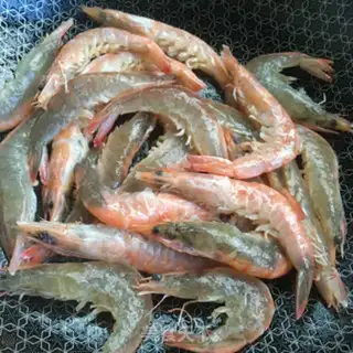 Make Shrimp step 5