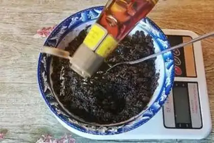 Make Black Sesame Pie step 4