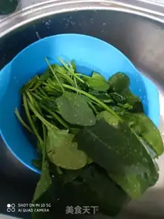 Make Spinach eggs step 0