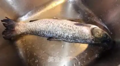 Make Red weedfish step 0