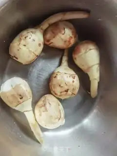 Make Red burn dragon bones step 1