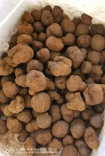 Make The truffle groceries step 4