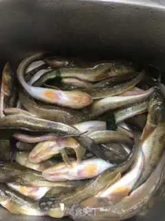 Make Sunshine fish dry step 0