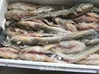 Make Sunshine fish dry step 4