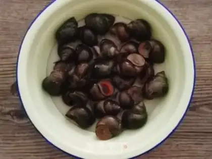 Make Snails step 0