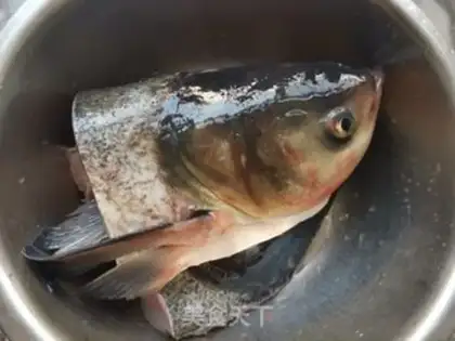 Make The casserole fish head step 0