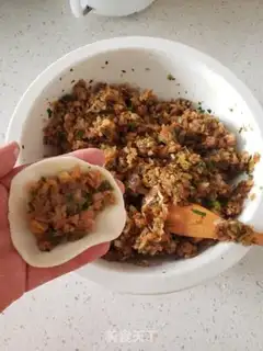 Make Pork radish dumplings step 8