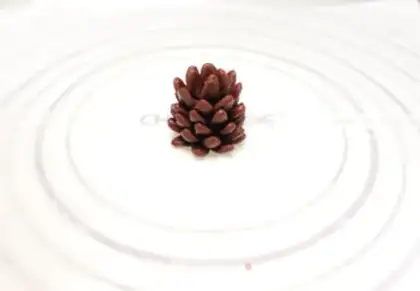 Make Christmas pine cookies step 10