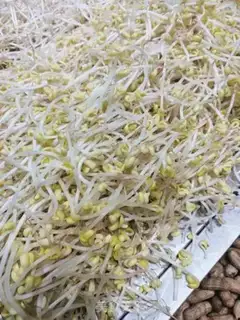 Make Puffy sprouts step 0