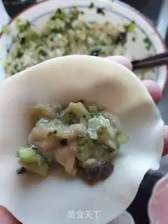Make Cricket chicken dumplings step 3