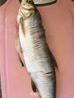 Make Fresh white fish step 0