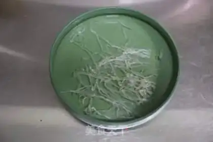 Make Chicken soup, frozen tofu step 7