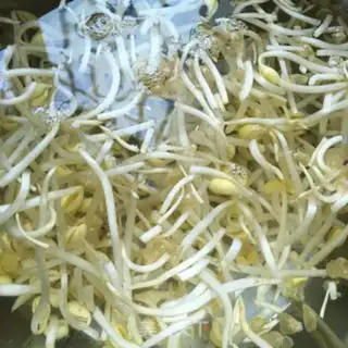 Make Tomato stew soybean sprouts step 0