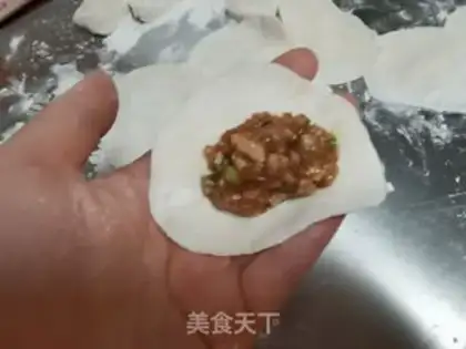 Make Pork dumplings step 8