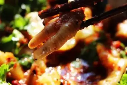 Make Sour chicken feet step 3
