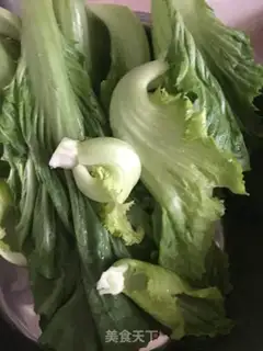 Make Five flowers and mustard step 0